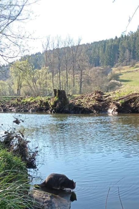 Zimmern ob RottweilFerienglueck Im Schwarzwaldアパートメント エクステリア 写真